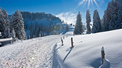 winter schnee|Winter Schnee/Image Gallery .